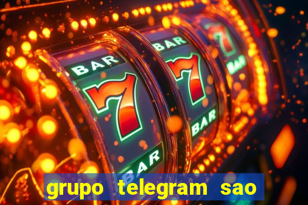 grupo telegram sao jose do rio preto